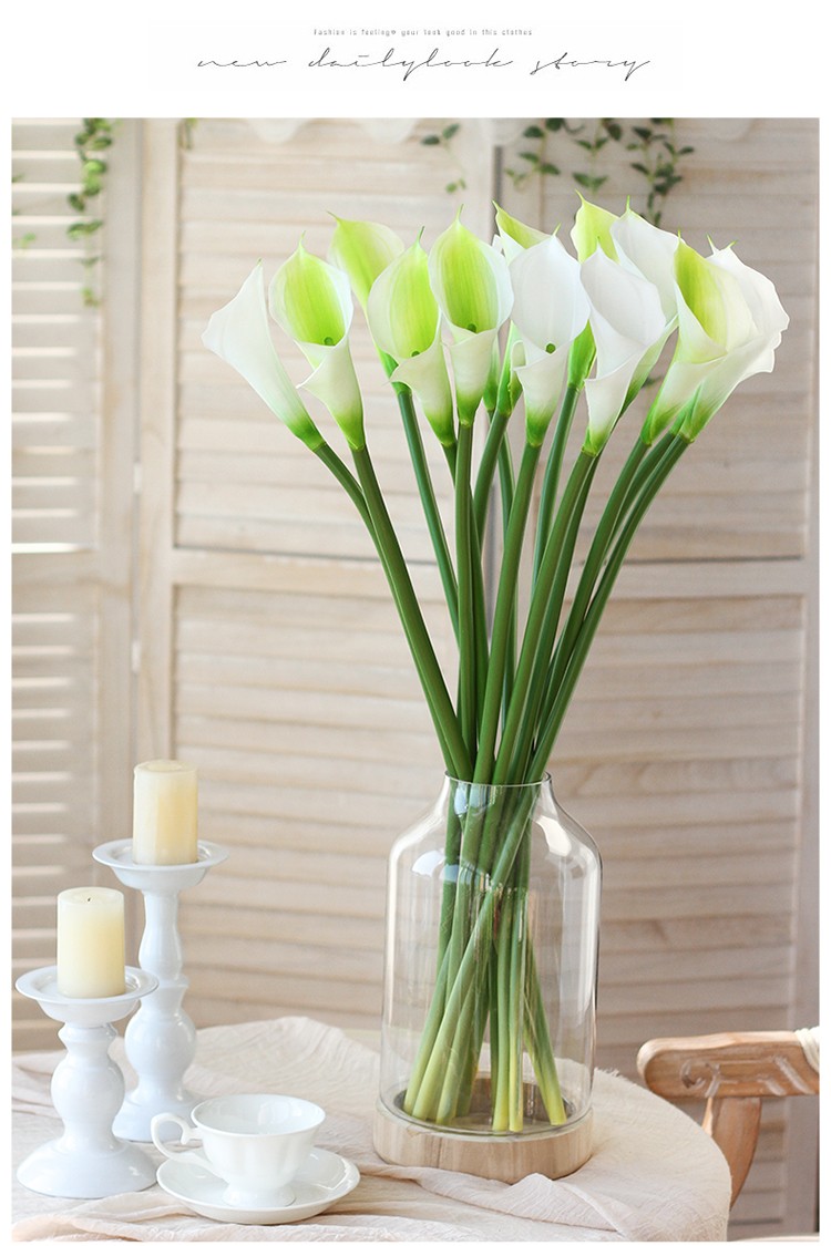 1675630701549809.jpeg 1675630701549809.jpeg