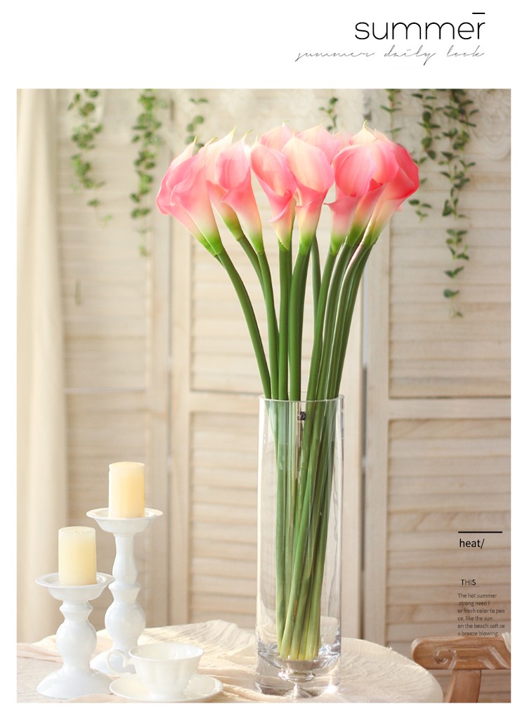 1675630702722659.jpeg 1675630702722659.jpeg