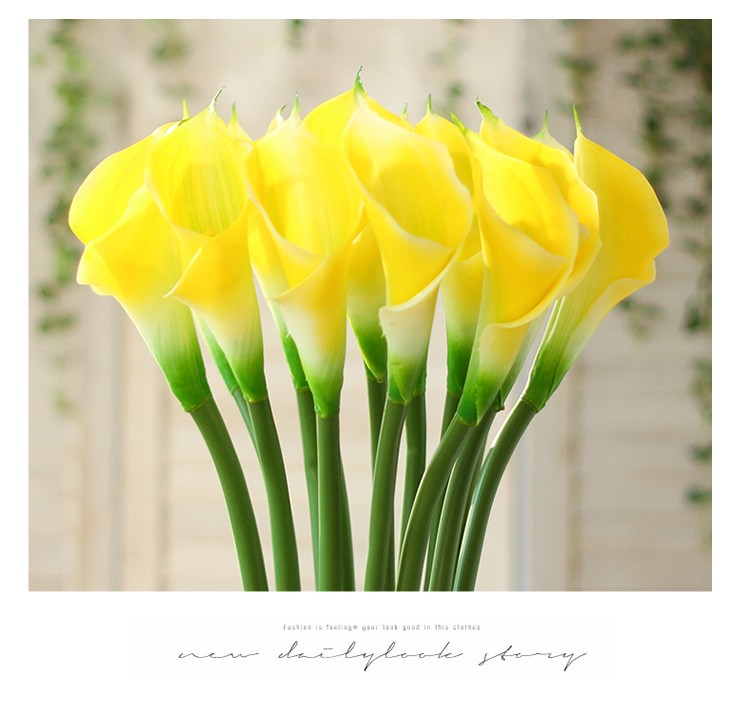 1675630705874483.jpeg 1675630705874483.jpeg