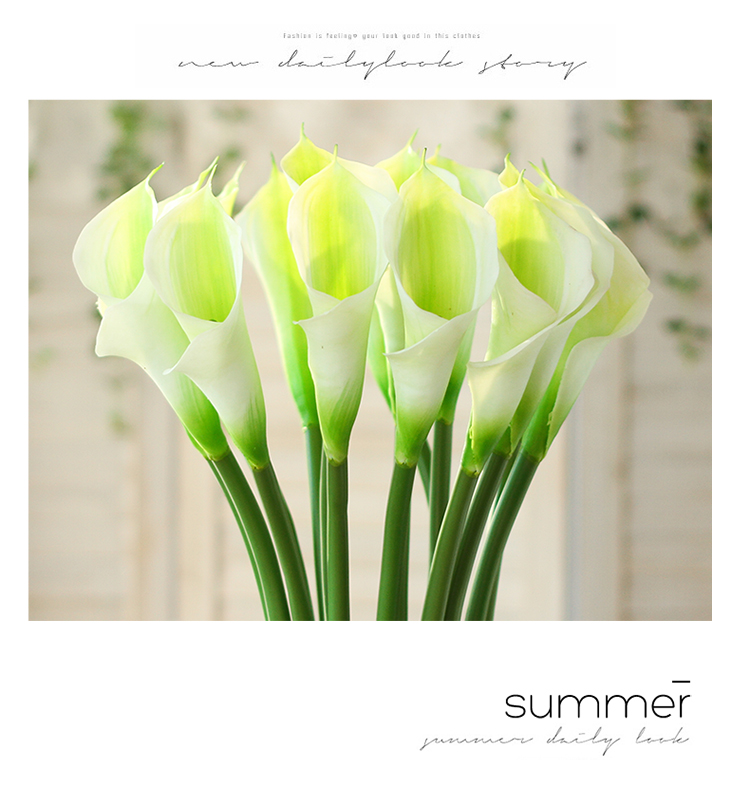 1675630707424426.jpg 1675630707424426.jpg