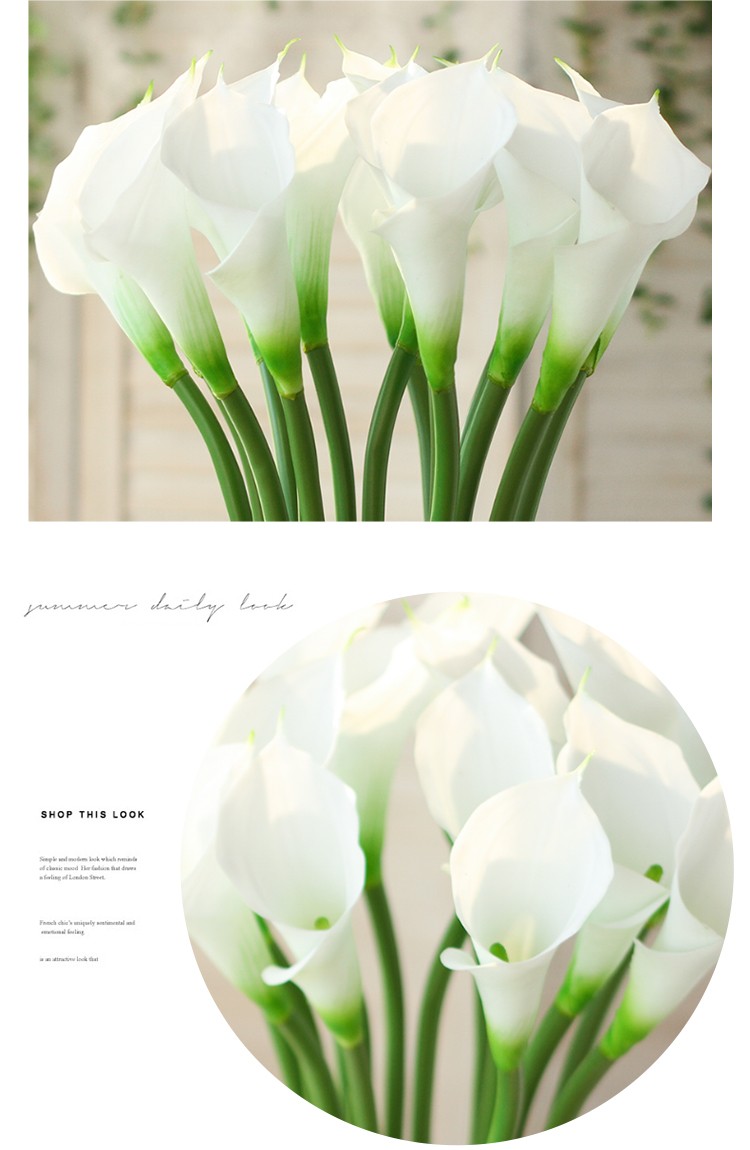 1675630709663384.jpeg 1675630709663384.jpeg