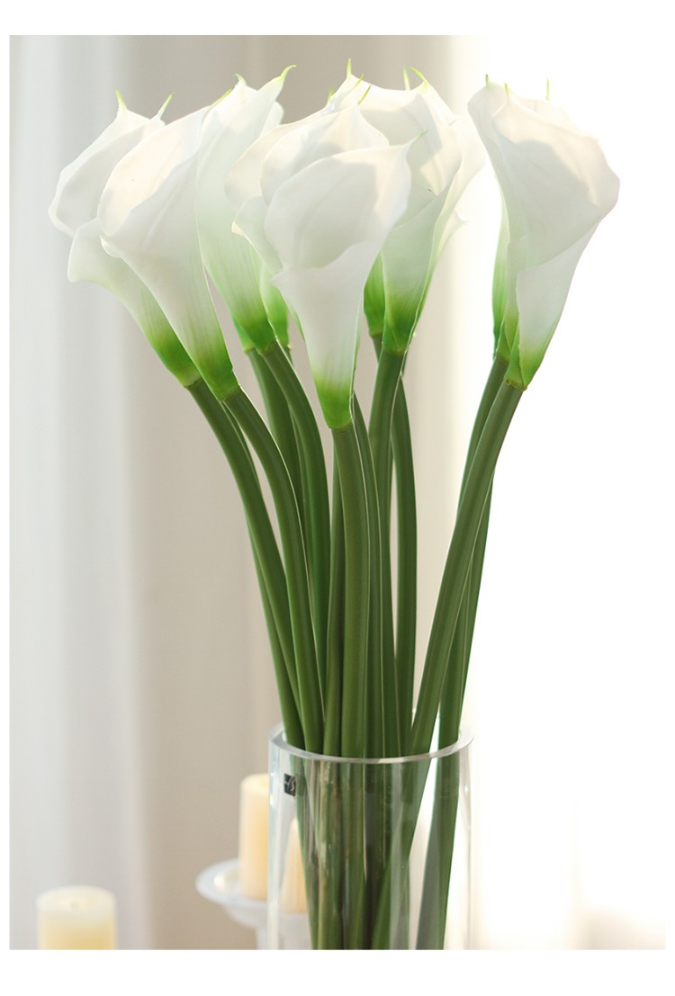 1675630710627951.jpeg 1675630710627951.jpeg