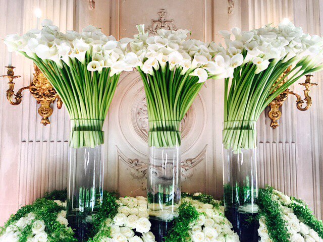 1675631069377944.jpg 1675631069377944.jpg