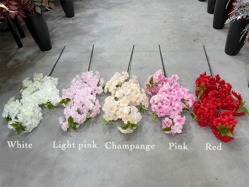 1676758492916241.jpg 1676758492916241.jpg