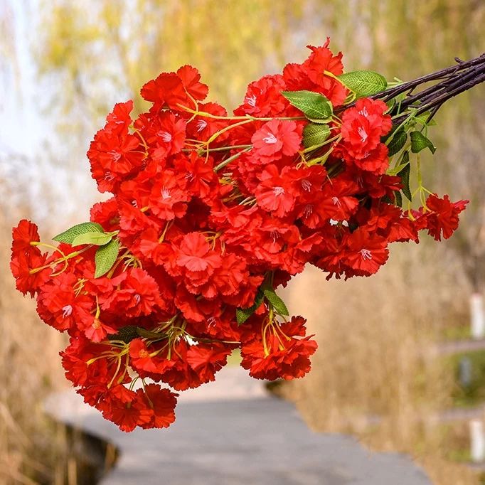 1676758493707467.jpeg 1676758493707467.jpeg