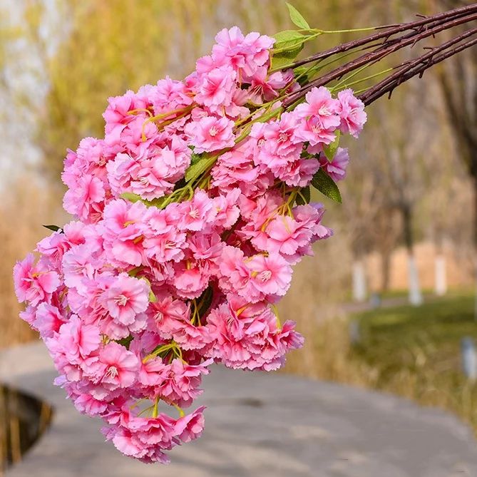 1676758494180944.jpeg 1676758494180944.jpeg