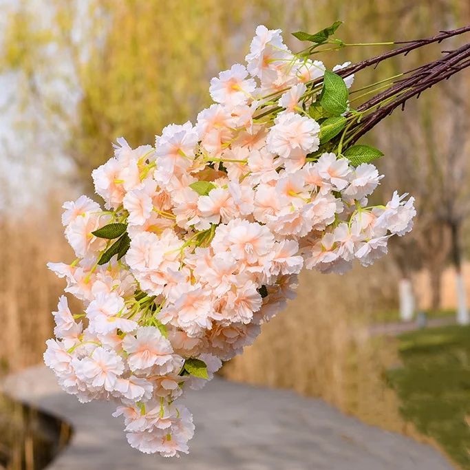 1676758495916931.jpeg 1676758495916931.jpeg