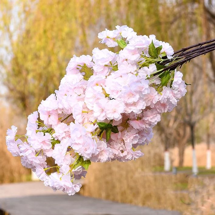 1676758496921669.jpeg 1676758496921669.jpeg