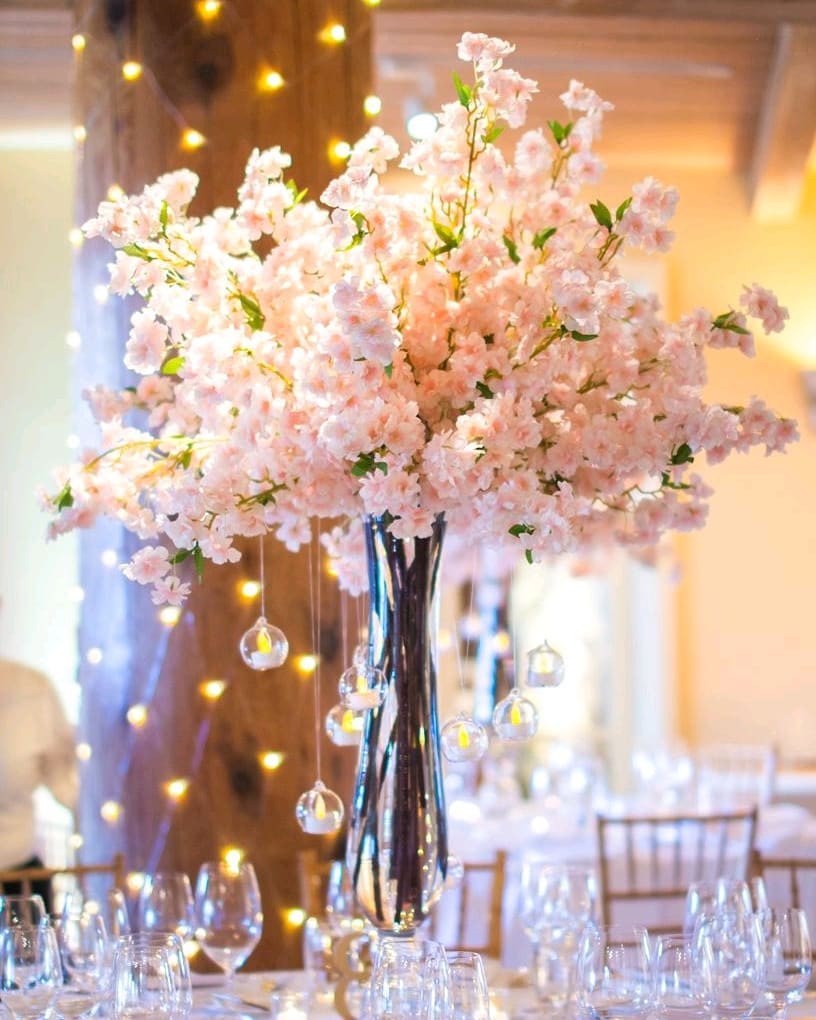 1676775004418365.jpg 1676775004418365.jpg