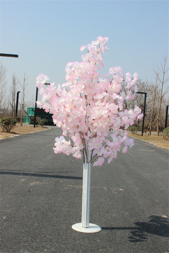 1676776988465539.jpeg 1676776988465539.jpeg