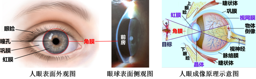 1681639044465222.png 1681639044465222.png