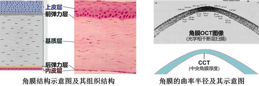 1681639074662706.png 1681639074662706.png