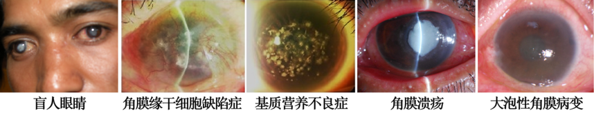 1681662681265786.png 1681662681265786.png