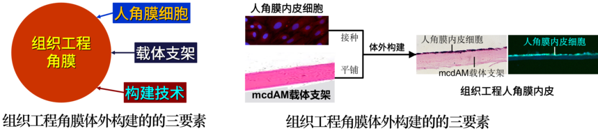1682315261303085.png 图片10.png