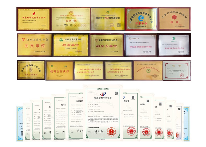 1764065671597286.jpg 页(1)_05.jpg