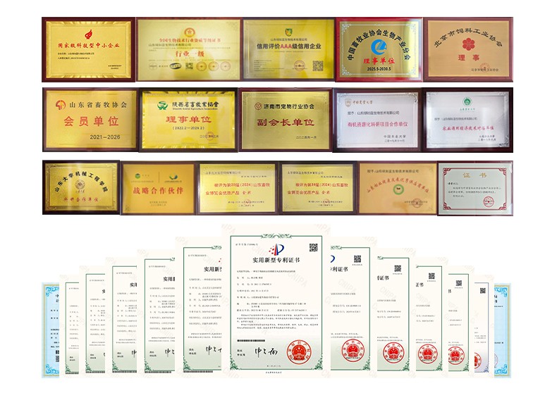 1764065705827360.jpg 页_05.jpg