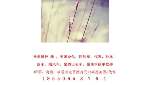 1 (170).jpg