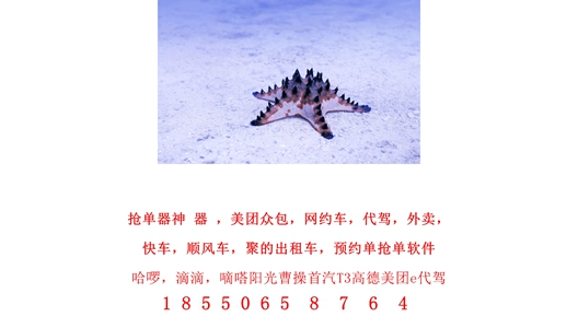 1705217966305546.jpg 1 (211).jpg