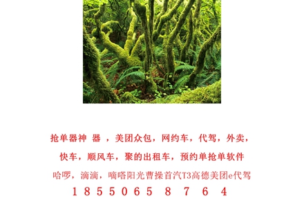 1705232137626871.jpg 1 (108).jpg