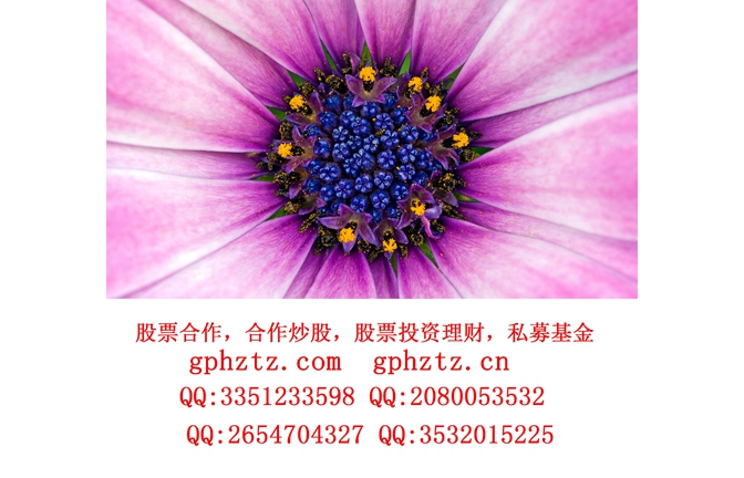 1746683697509795.jpg 01359_flower29_1920x1080.jpg