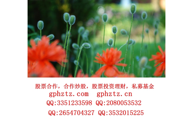 01404_garden_1920x1080.jpg