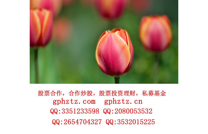 1746685840472131.jpg 01408_tulips_1920x1080.jpg