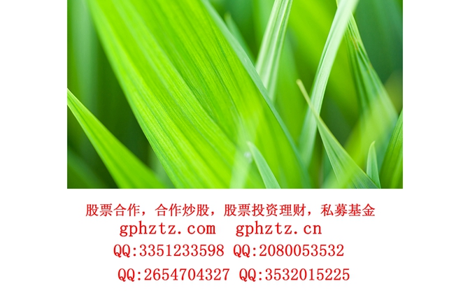 1746686405881091.jpg 01264_leaf40_1920x1080.jpg