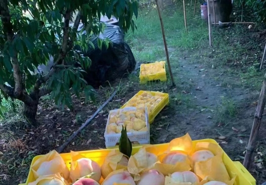 ԶվפƷˮ