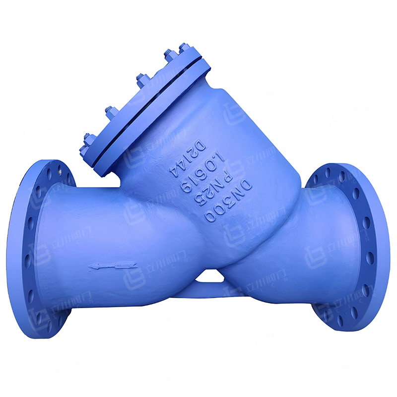 DN300-PN25.jpg