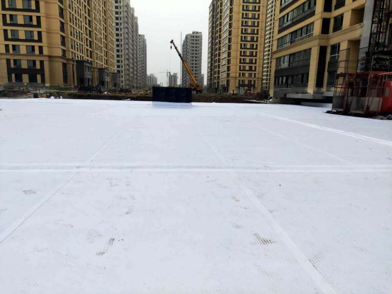 1678091727379178.jpg 7.jpg