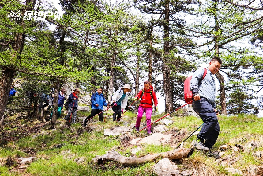 �����̵ز���--������ͽ���Ǹ��Ž�