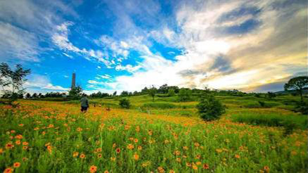 �ս�����--Ȥζ����Ѱ���Ž�