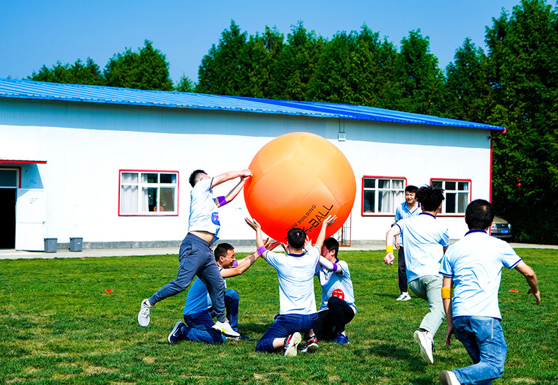 Ž