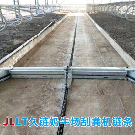 奶牛場(chǎng)刮糞機(jī)鏈條
