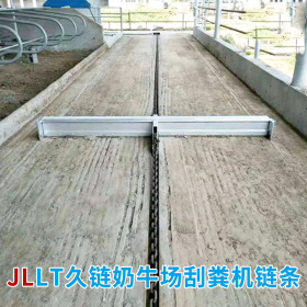 奶牛場(chǎng)刮糞機(jī)鏈條