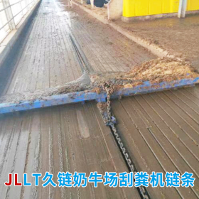 奶牛場(chǎng)刮糞機(jī)鏈條