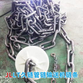 管鏈輸送機(jī)鏈條