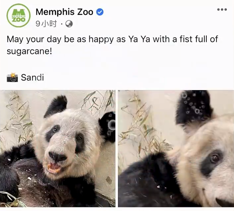 ΢Žͼ_20230311122328.png