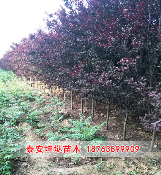 09.jpg