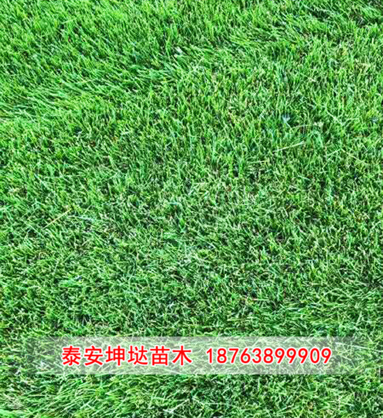 02.jpg