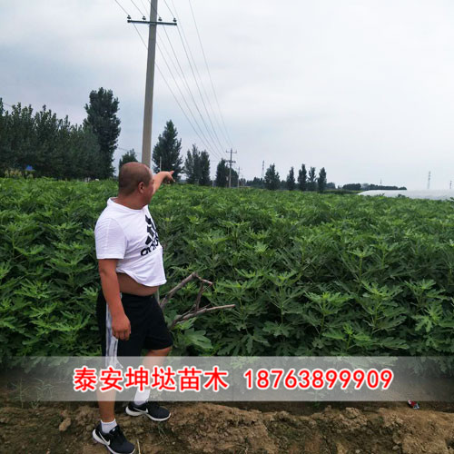 01.jpg