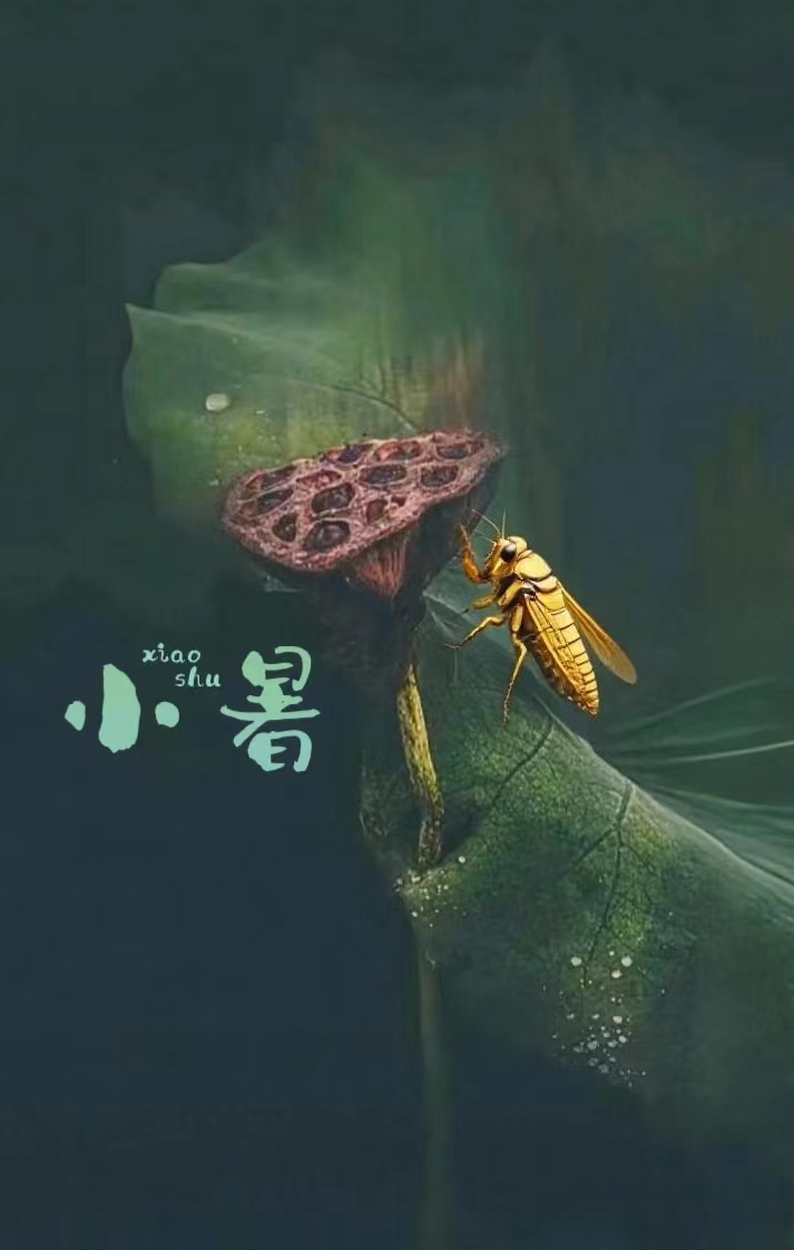 С.jpg