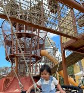 景區農莊網紅小豬快跑游樂設備騎豬賽跑無動