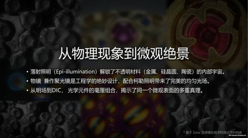 ͼƬ13.png