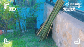 640.gif