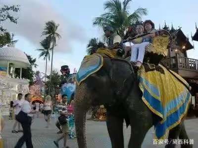 1762747236595036.jpg 微信图片_20251110112625_42_100.jpg