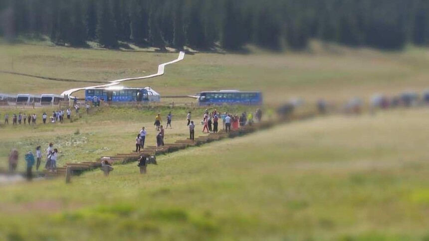 1766714776336381.jpg token=e1ae94107e06056a04e0bf249dc98450.jpg