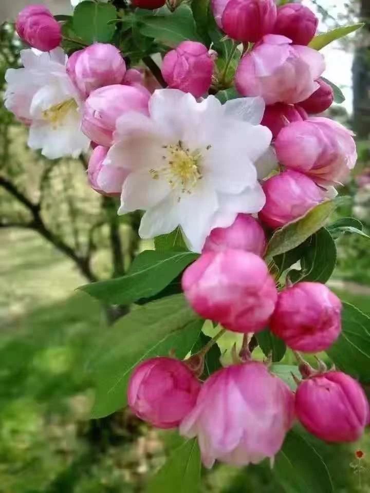 d911c980c998c95f556c447f531dbf1f.jpeg