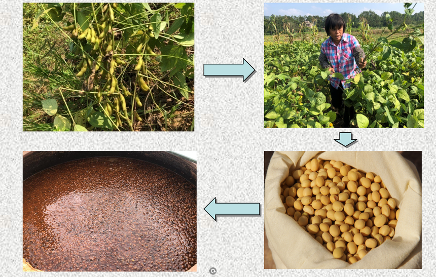 1689906457115524.png 圖片8.png