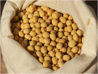 1690873196869235.png 圖片 19.png